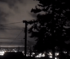 Flash Lights Up Seattle Sky as Windstorm Causes Power Outages