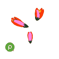 Family Love Sticker by Publix