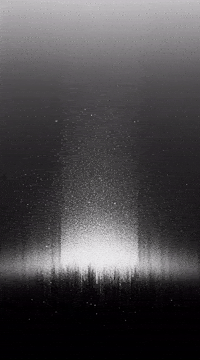 Grow Video Art GIF by RedefineTheObvious