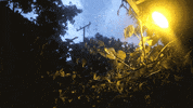Rain GIF by alecjerome