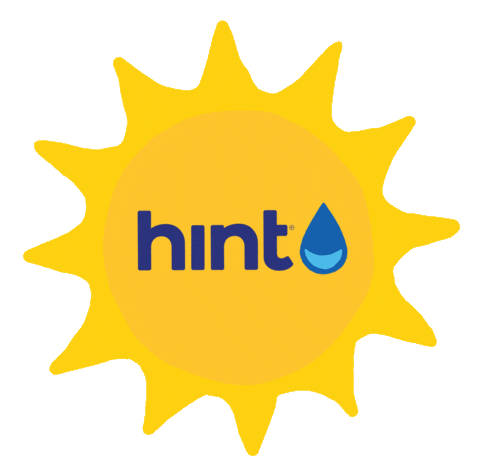 Hint Water Sun Sticker by Hint