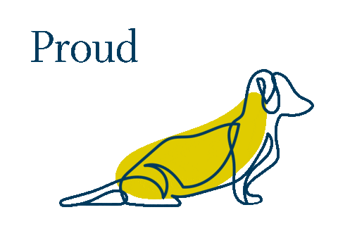 EllisTracy giphyupload bee ellis liveatellis Sticker