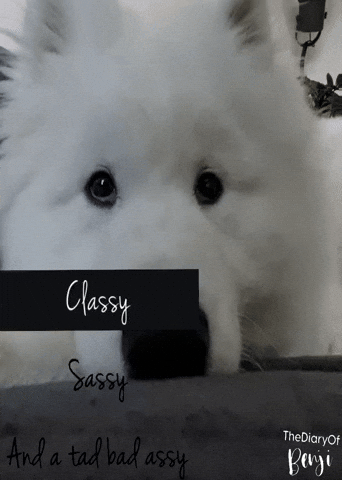 Sassy Badass GIF