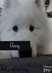 Sassy Badass GIF