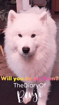Friends GIF