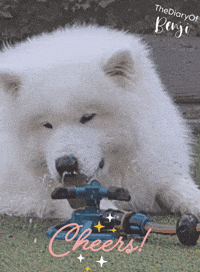 Cheers Drinks GIF