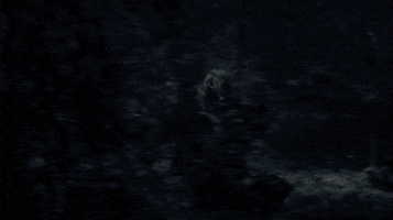 The Witcher Running GIF by NETFLIX