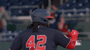 Regular Season Baseball GIF by MLB