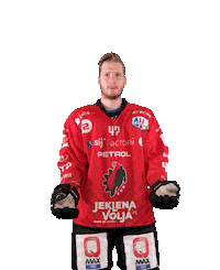 Hockey Hokej Sticker by HDD SIJ Acroni Jesenice
