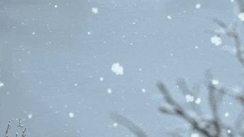 Stop Motion Love GIF by Ai and Aiko