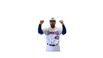 SmokiesBaseball lets go cubs smokies tennessee smokies Sticker