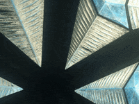 Wundersaar wundersaar GIF