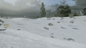 On My Way Hello GIF by Teletubbies