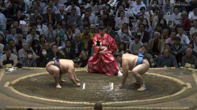 TZ85 giphyupload GIF