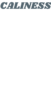 Happy Mood Sticker by Caliness