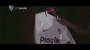 la liga soccer GIF by Sevilla Fútbol Club