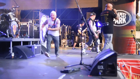 party friday GIF