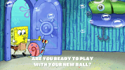 season 9 gary's new toy GIF by SpongeBob SquarePants