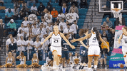 High Five College Sports GIF by Miami Hurricanes