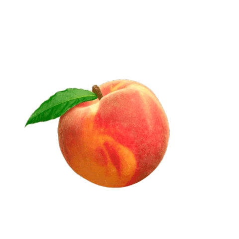 paaat__52 giphyupload orange peach uwu Sticker