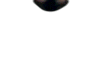 Fifty Cent Sticker by 50 Cent