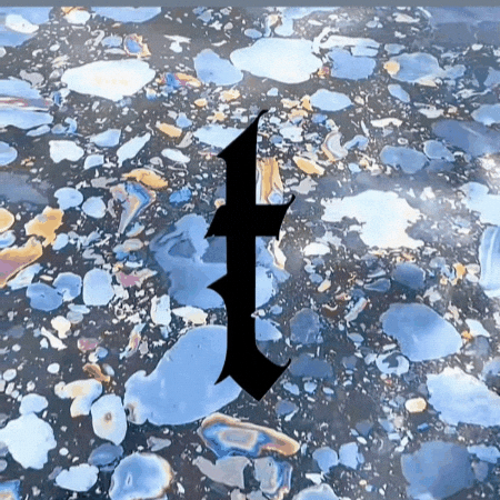 Terrazo Music GIF by Terrazzo