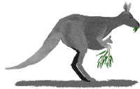 sydlivmus kangaroo sydlivmus howtomoveazoo how to move a zoo Sticker