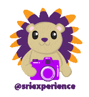 Camera Take Photo Sticker by SRI_Experience