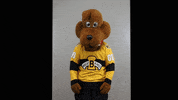 BdnWheatKings kings brandon willie wheat GIF
