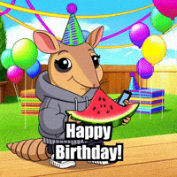 Happy Birthday Party GIF by Chillo Dillo