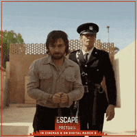 Harry Potter Movie GIF by Signature Entertainment