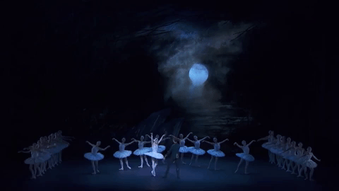 swan lake ballet GIF