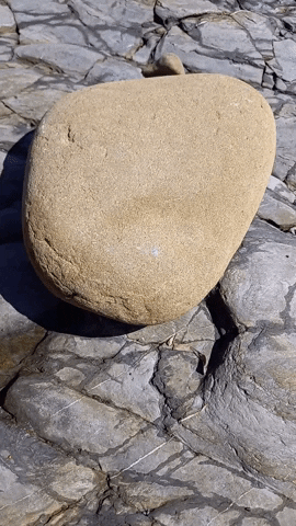 Simongip giphygifmaker GIF