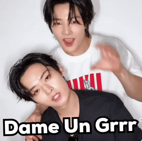 Stray Kids Skz GIF