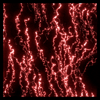 Loop Buenos Dias GIF by xponentialdesign