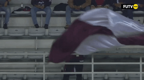 GIF by TD Más