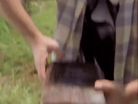 the mystery files of shelby woo nicksplat GIF