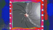 Art Wow GIF by Elvis Costello