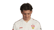 Look Up Vfb Stuttgart Sticker by Bundesliga