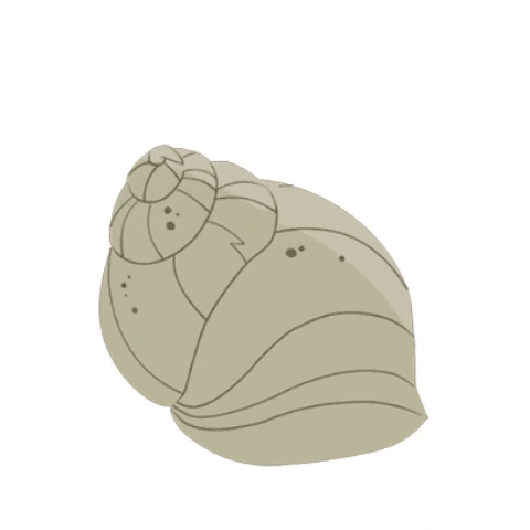 giffy8031 giphygifmaker giphyattribution GIF