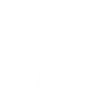 Flower 花 Sticker