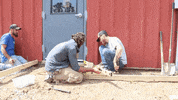 John Deere Tree GIF by JC Property Professionals