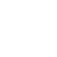 Beauty Flower Sticker