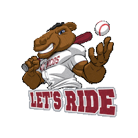 Bronco Baseball Sticker by Santa Clara Broncos