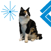 Banco De Occidente Sticker by Grupo Aval