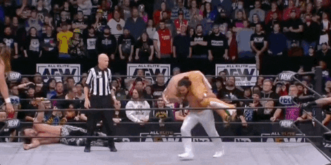 The Elite Wrestling GIF by AEWonTV
