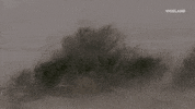 viceland GIF by ABANDONED