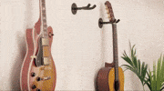 cashexpressportugal familia tecnologia guitarra comprar GIF