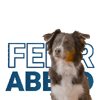 Dogs Puppy Sticker by HSI-Immobilien