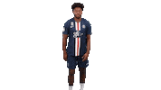 Step Back James Harden Sticker by Paris Saint-Germain Handball